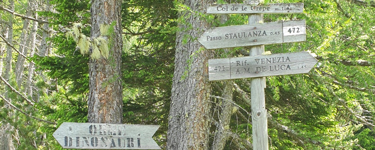 Matrimonio di Lucia e Raffaele